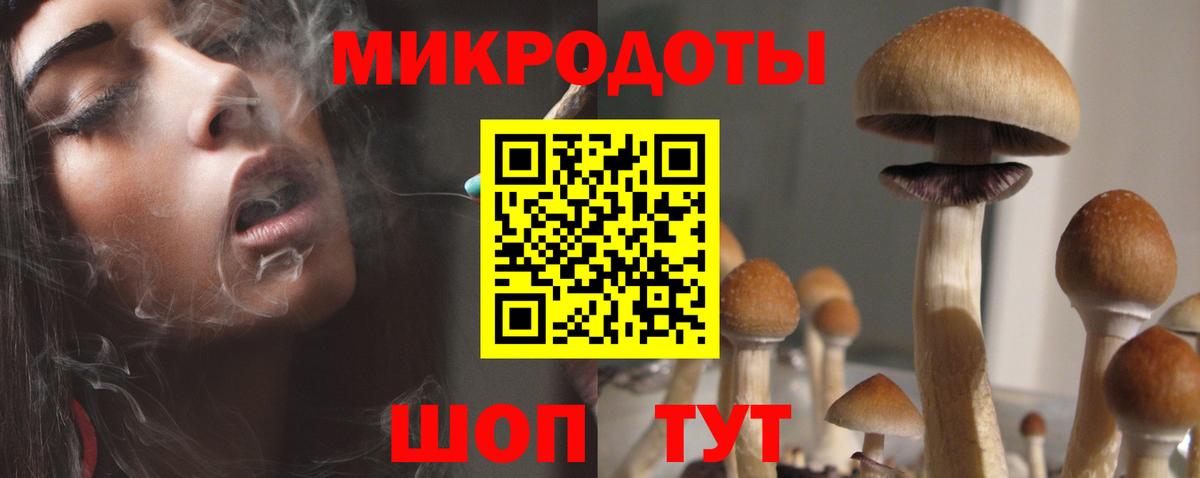 Луга  Псилоцибиновые грибы мухоморы  Вход с VPN 